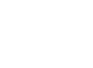 Chimney-Care-MN